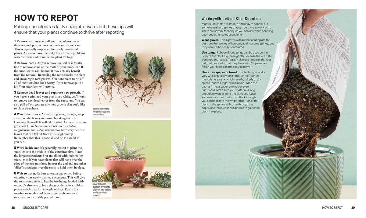 Book pages on how to grow succulents