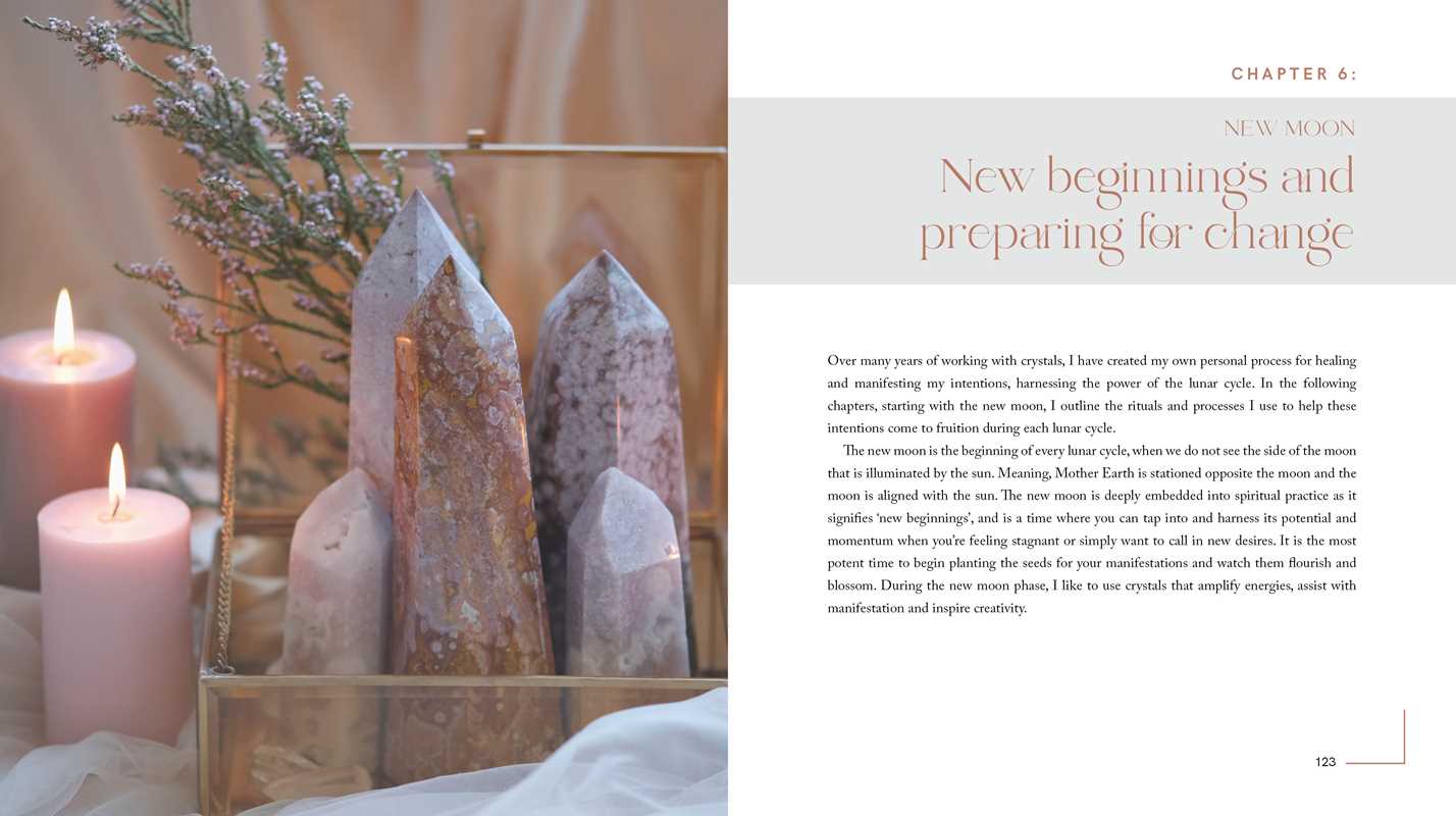 Crystal Rituals by the Moon by Leah Shoman