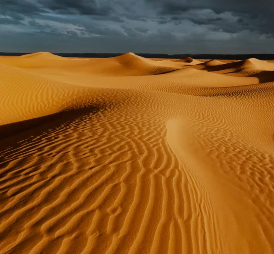 Desert Jasper Statement Earrings