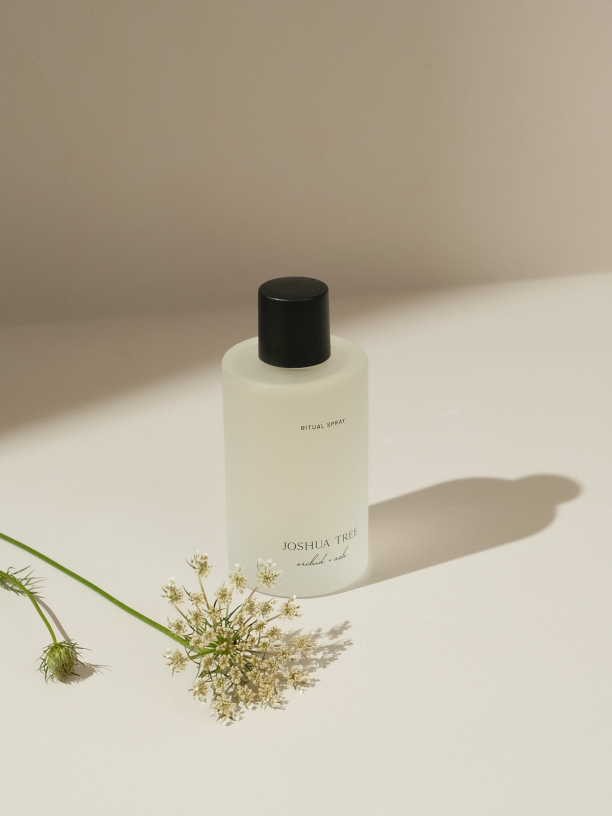 White bottle with black cap on a beige surface with a small plant