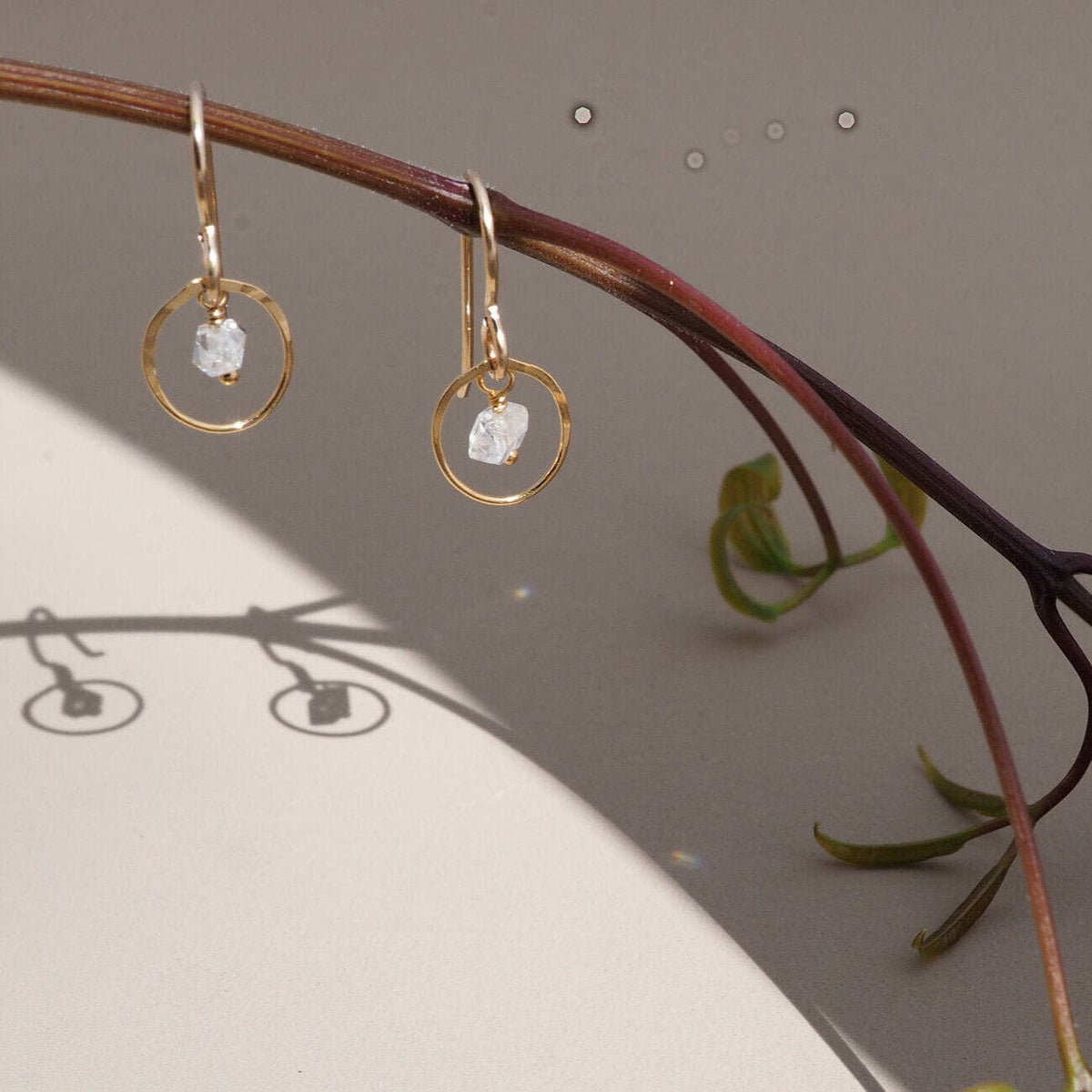 Gold earrings with circular designs and herkimer diamond hanging on a branch