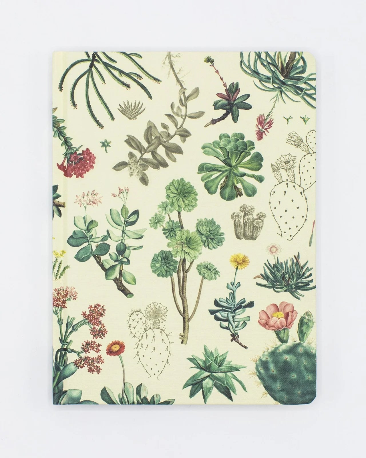 Journal - Cactus & Succulents