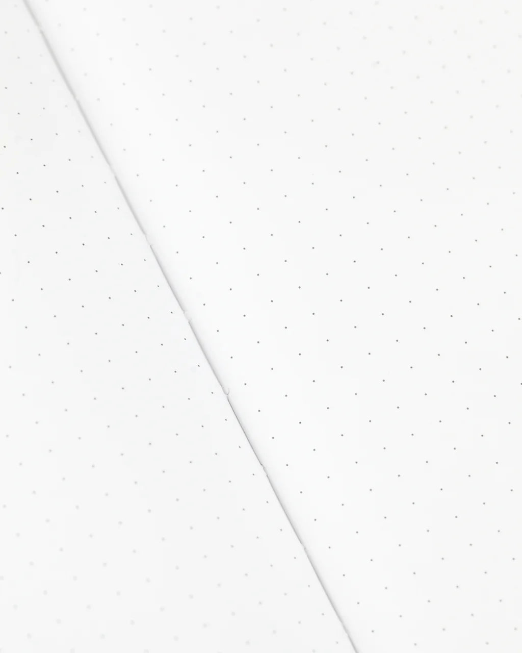 Journal - Cactus & Succulents