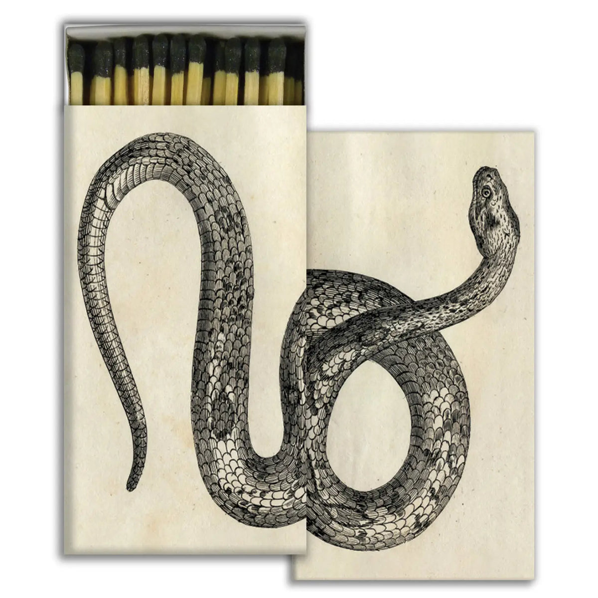 Matchbox with a snake illustration on a white background