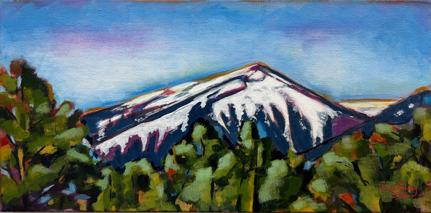 Snow on the Mountain Peak by Alice Poling