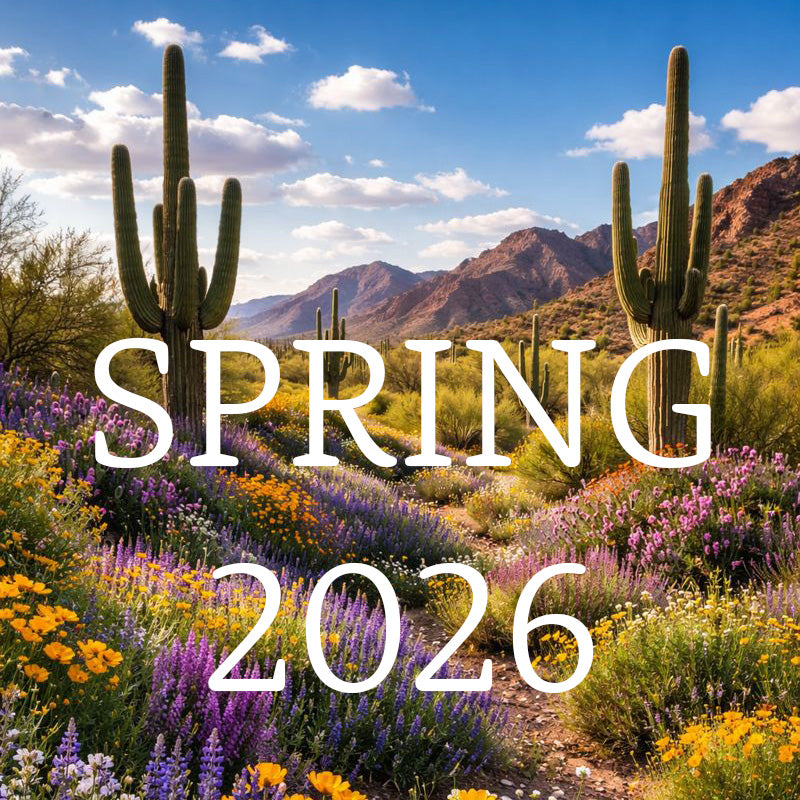 Spring '26 Pop By & Gift Collection