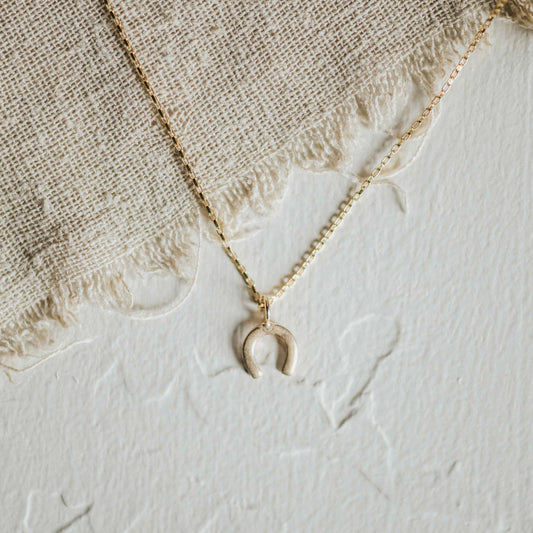 Horseshoe Necklace // Demi-Fine Gold