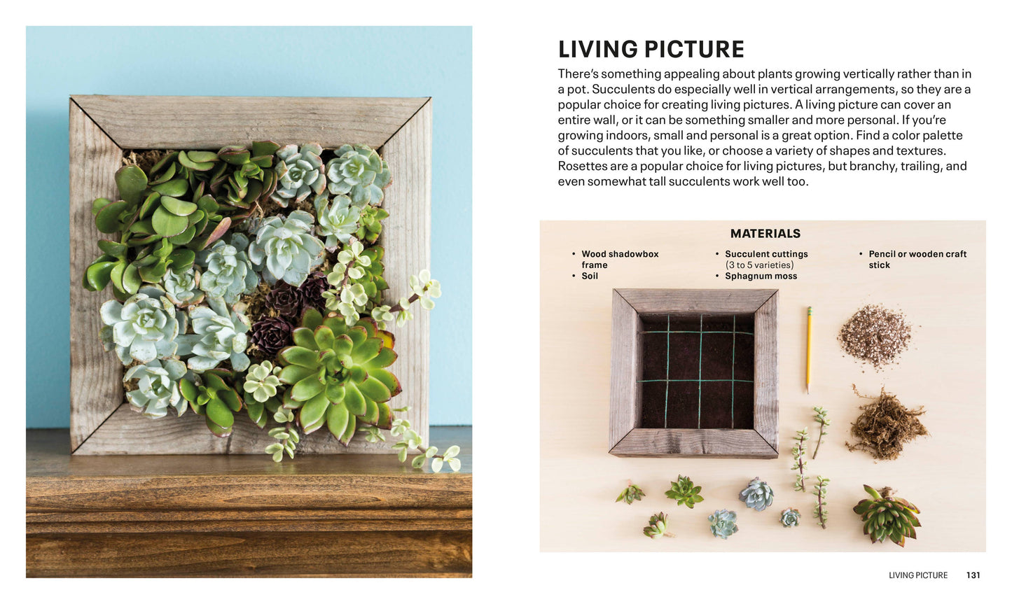 Succulents - a guidebook