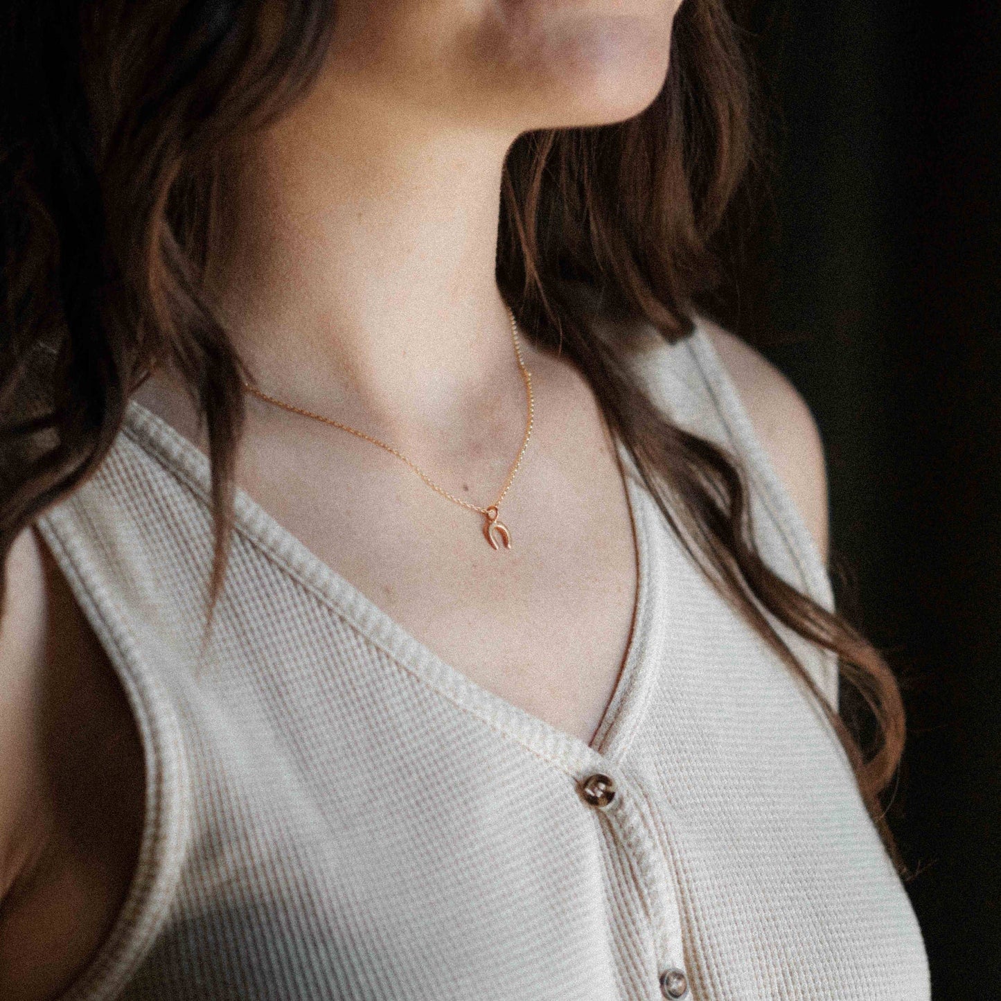 Horseshoe Necklace // Demi-Fine Gold