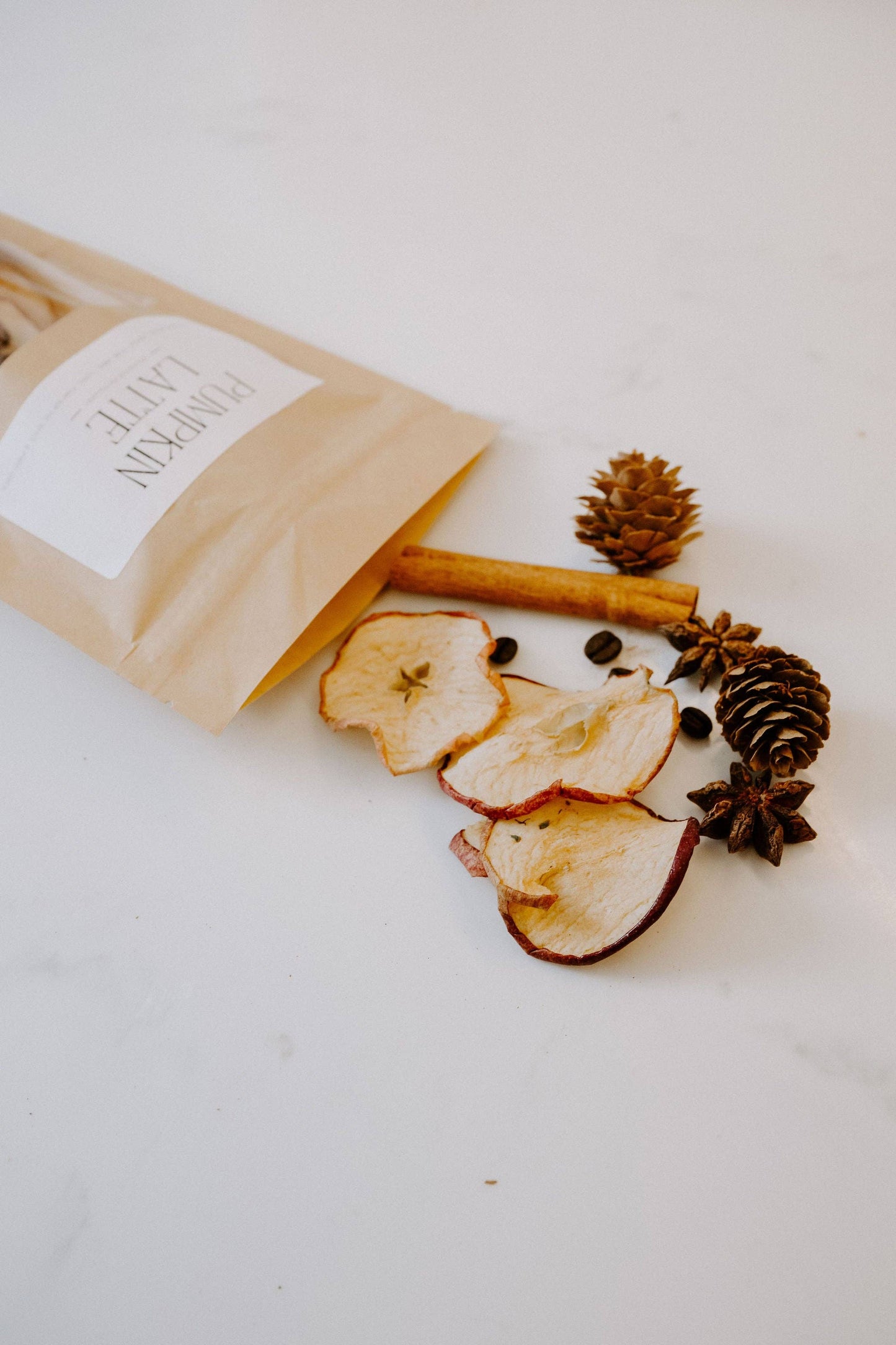 Pumpkin Spice Latte Simmer Pot