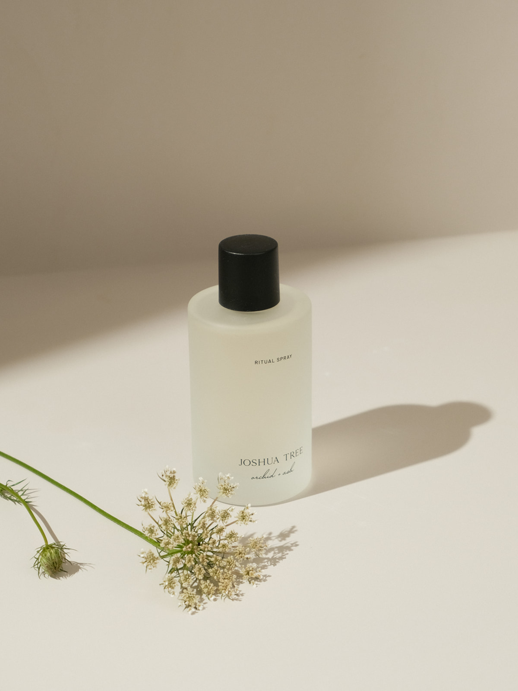 JOSHUA TREE | Palo Santo + Sage Natural Ritual Spray – Richau & Co by ...