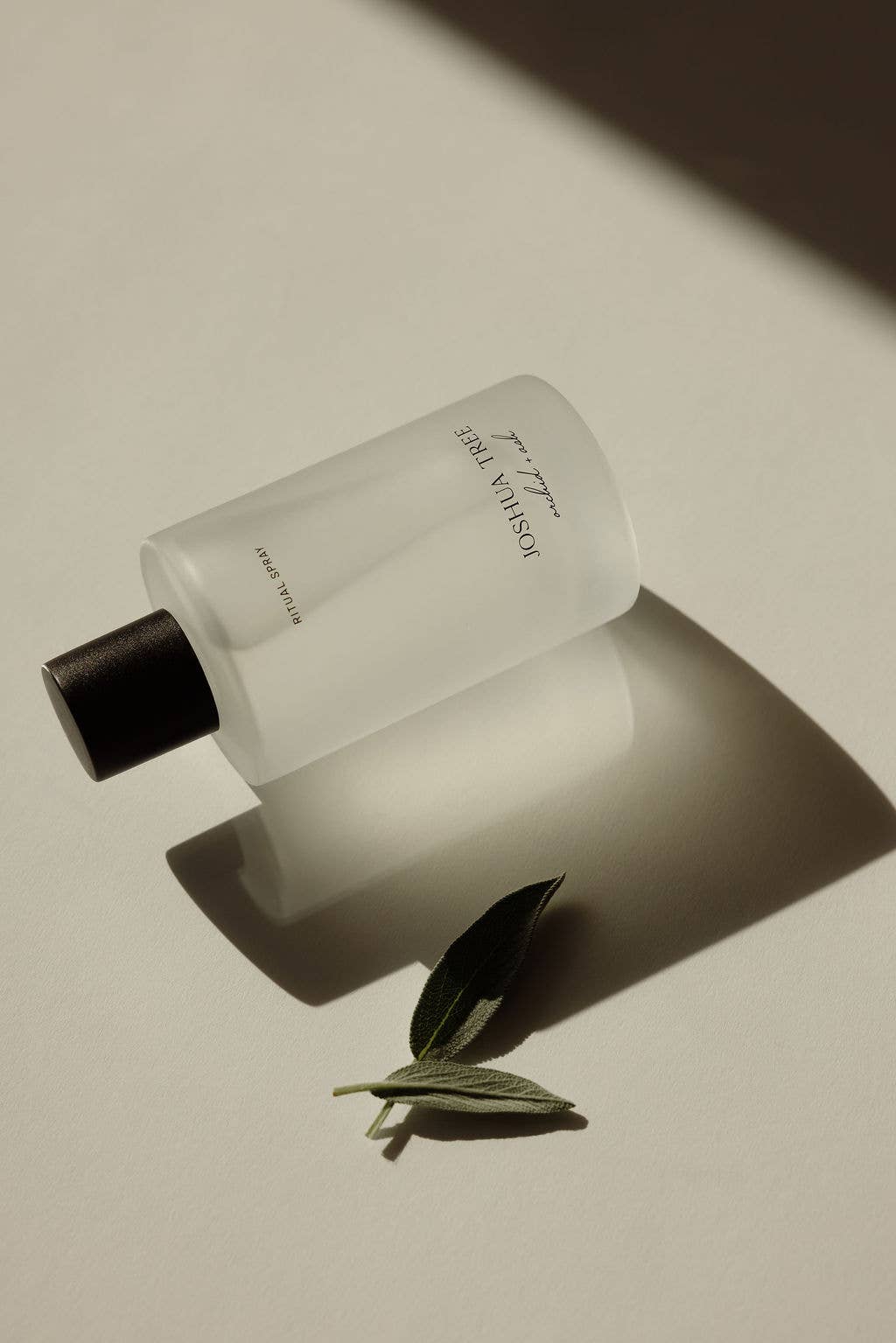 JOSHUA TREE | Palo Santo + Sage Natural Ritual Spray