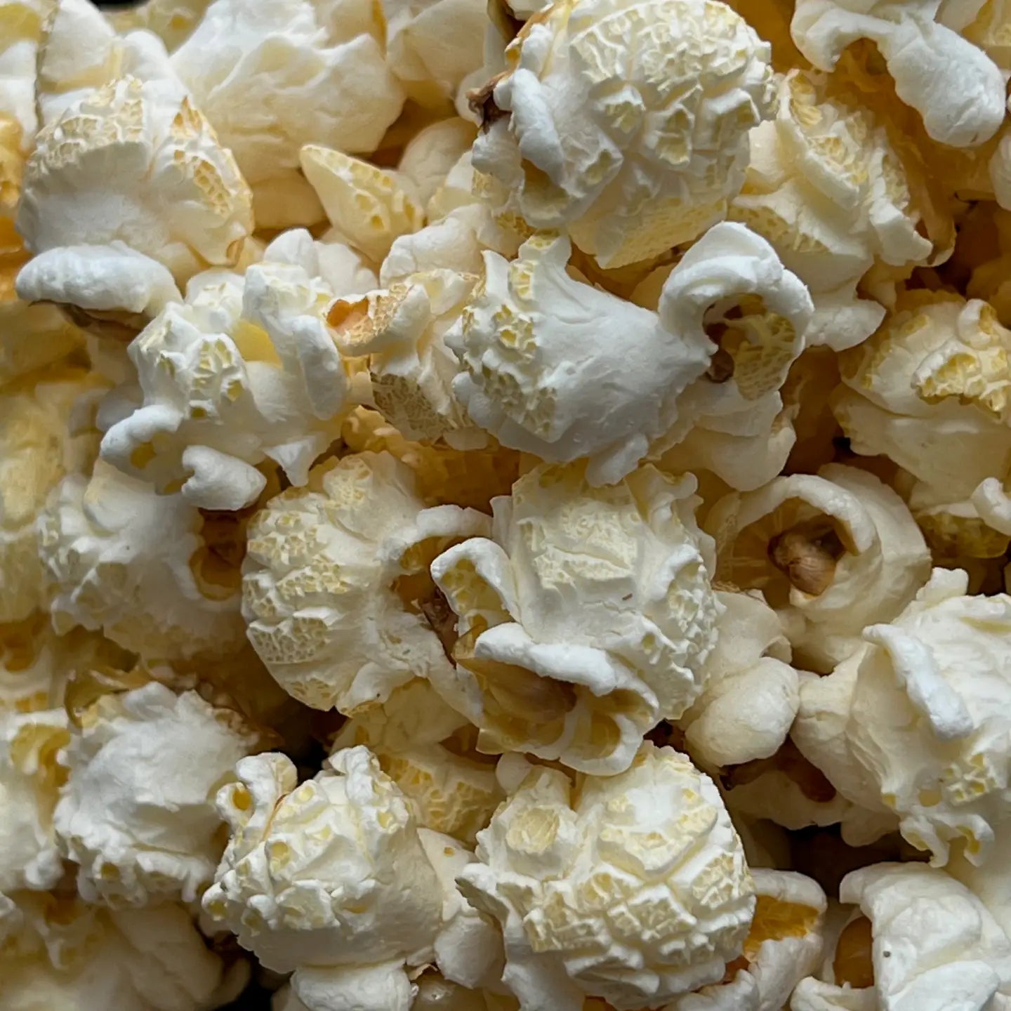 Popped Artisan Popcorn: Various Flavors