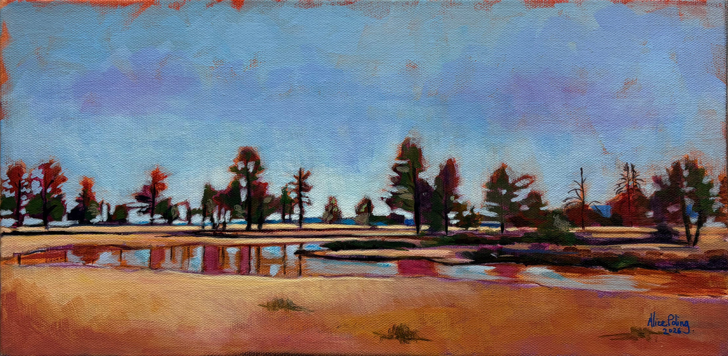 Pond at Buffalo Park by Alice Poling