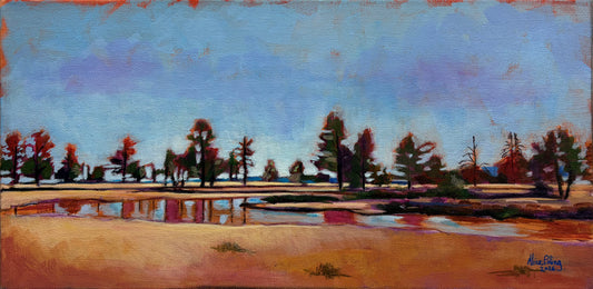 Pond at Buffalo Park by Alice Poling