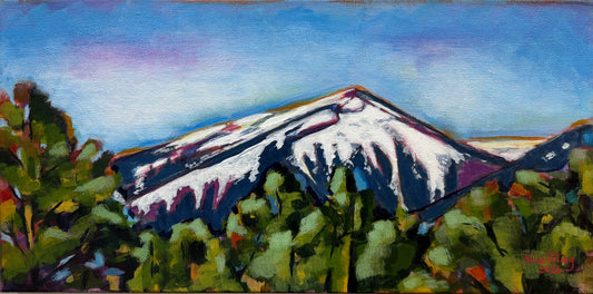 Snow on the Mountain Peak by Alice Poling